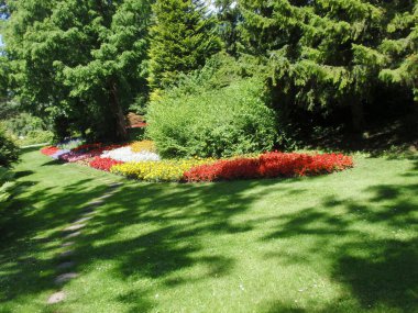 Renkli yaz çiçeklerinin, manikürlü yeşil çimlerin ve güneşli bir günde benekli ağaçların bulunduğu, bakımlı bir botanik bahçesinin huzurlu manzarası..