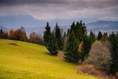 Karanlık bulutların altındaki kırsal tepelerin ve ormanların geniş manzarası. Parlayan ufuk, zıt ışık ve gölgeler dramatik sonbahar manzarası oluşturuyor.