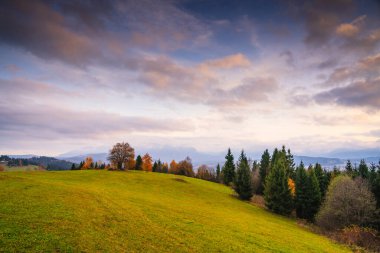 Ebediyete kadar yeşil orman ve sonbahar yapraklarıyla çevrili eğimli çayır. Geniş gökyüzü, yumuşak bulutlar ve uzak dağlar, sakin kırsal kesime derinlik katıyor.
