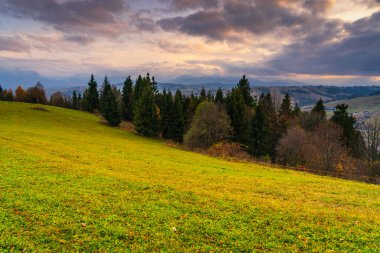 Yoğun kozalaklı kozalaklı ormanlar, renkli yaprak döken ağaçlar, yumuşak bulutlu ışık ve uzak vadiler ile sonbahar yamacı manzarası huzur verici doğal manzaralar yaratıyor.