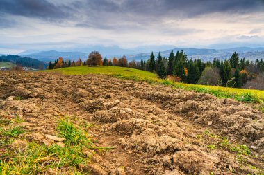 Yeşil otlaklarla, yuvarlanan tepelerle ve ağır bulutların altındaki uzak dağlarla zıt düşen pullu arazi, tarımı ve değişen hava koşullarını gösteren sonbahar kırsal manzarası