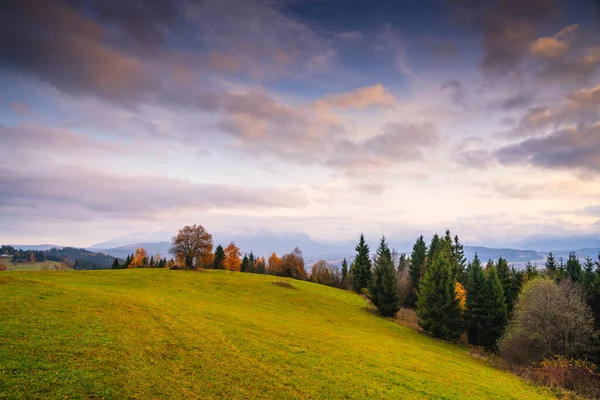 Ebediyete kadar yeşil orman ve sonbahar yapraklarıyla çevrili eğimli çayır. Geniş gökyüzü, yumuşak bulutlar ve uzak dağlar, sakin kırsal kesime derinlik katıyor.