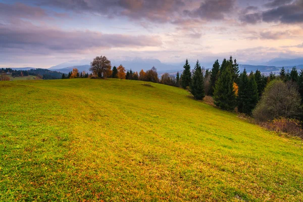 Sonbahar otlaklarının geniş panoramik manzarası ve katmanlı dağ siluetleri, dramatik gökyüzü ve sıcak ışık sakin ve atmosferik kırsal manzara yaratıyor.