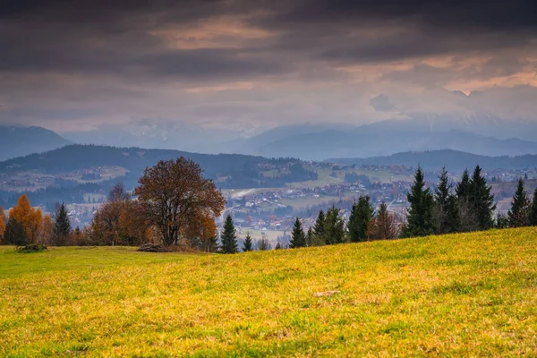 Geniş sonbahar vadisi manzarası yeşil çayır, dağınık ağaçlar ve bulutlu gökyüzünün altındaki uzak sıradağlar, mevsimsel değişimi ve doğal derinliği gösteren huzurlu kırsal alan.