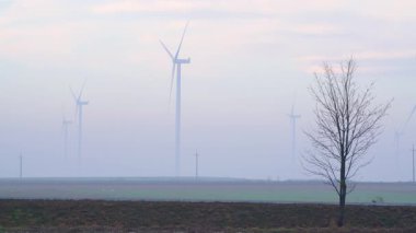 Ön planda çıplak ağaç silüetiyle sisli kırlarda rüzgar çiftliği, yenilenebilir enerji yapılarının kısmen alçak bulutlar ve sakin hava koşulları tarafından gizlendiğini gösteriyor.
