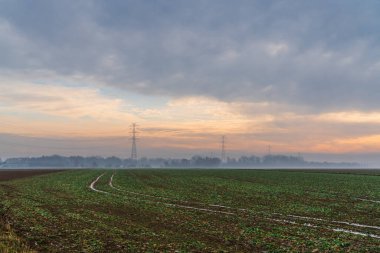 Yüksek voltajlı elektrik hatları şafak vakti sisli tarlaları geçiyor, elektrik direklerine doğru giden yeşil alanlarda çamurlu izler, enerji altyapısını, iletim ağlarını ve kırsal araziyi gösteriyor.