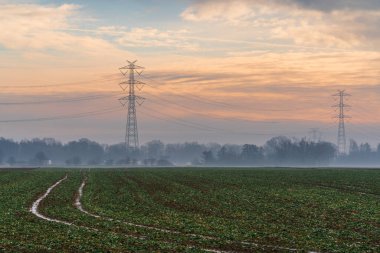 Sis kaplı tarımsal alanlara yayılan elektrik iletim kuleleri Pastel gökyüzü altında, büyük ölçekli güç dağılımı, şebeke altyapısı ve sakin kırsal çevre gösteriyor