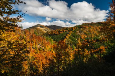 Arka planda mavi gökyüzü olan ağaçlarla kaplı Beskids Dağları. Ağaçlar yapraklarla dolu ve gökyüzü temiz.