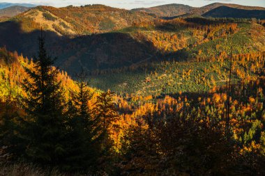 Yeşil ve portakal ağaçlarının karışımından oluşan güzel bir dağ manzarası. Gökyüzü bulutlu, karamsar bir atmosfer yaratıyor. Dağlar ağaçlarla kaplı ve manzara nefes kesici.