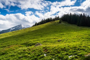 Polonya 'nın Tatra Dağları' nda kayalarla benekli ve yoğun bir kozalaklı ormanla çevrili engin alp otlakları.