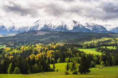 Polonya 'daki Tatra Dağları' nın panoramik manzarası, bulutlu bir gökyüzünün altında karla kaplı yapraklarla kaplı, yemyeşil ağaçların canlı bir karışımını sergiliyor.