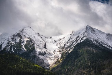 Slovakya 'daki Belianske Tatraları' nın görkemli zirveleri karla kaplanmış ve kasvetli bir gökyüzünün altındaki koyu yeşil çam ormanlarıyla çelişiyor.