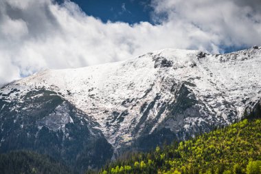 Slovakya 'daki görkemli bir dağ sırası olan Belianske Tatras, zirvelerinde aşağıdaki canlı yeşil ormanlarla çelişen uzun süren karlar gösteriyor.