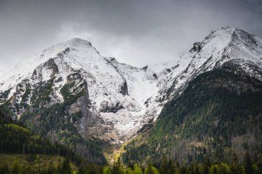 Slovakya 'daki Belianske Tatras sıradağlarının dramatik manzarası, devam eden kar ve aşağıdaki yemyeşil çam ormanlarının karışımını gösteriyor