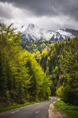 Manzaralı bir asfalt yol, canlı bahar ormanları boyunca kıvrılarak dramatik bir gökyüzü altında görkemli karla kaplı dağlara çıkar.