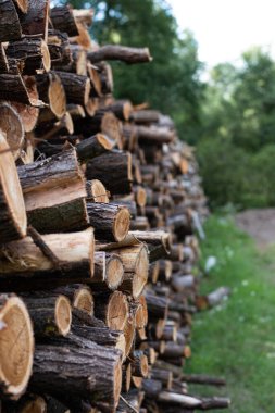 ahşap bir forest yakınındaki yığını