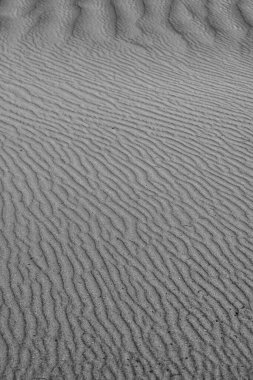 Rüzgar kum tepeciklerini dalgalı desenlere dönüştürdü ve büyüleyici bir soyut manzara yarattı..