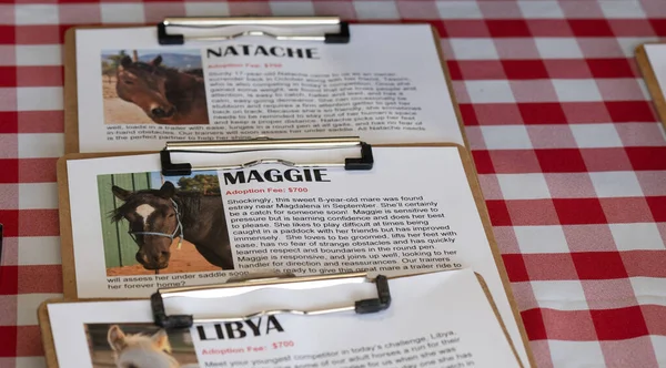 Atların bilgi belgeleri, evlatlık ya da sponsorluk için uygun atları görmek ve bulabilmek için bir yardım organizasyonunda evlat edinilmek üzere hazırlanıyor.