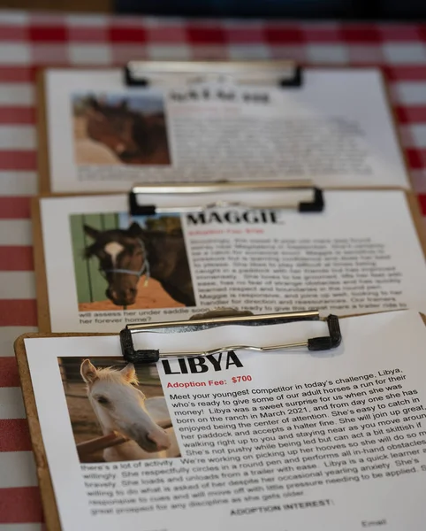 Atların bilgi belgeleri, evlatlık ya da sponsorluk için uygun atları görmek ve bulabilmek için bir yardım organizasyonunda evlat edinilmek üzere hazırlanıyor.