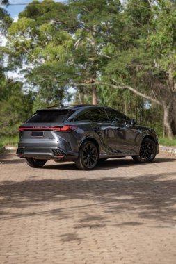 Lexus NX 500F F Sport arka üç çeyrek manzara, lüks hibrit SUV doğal orman ortamında park edilmiş.