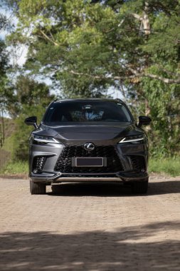 Gri Lexus RX 500h ön manzara, lüks performans SUV ağaçların yakınındaki toprak yolda park edilmiş.