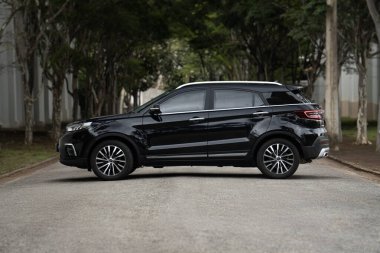 Siyah Ford Bölgesi yan görüş profili, kaldırımlı yolda ağaçlarla çevrili modern SUV sihouette