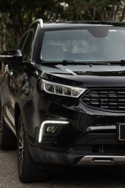 Siyah Ford Bölgesi ön farları yakın çekim, modern SUV ön ucu ağaçlık yolda.