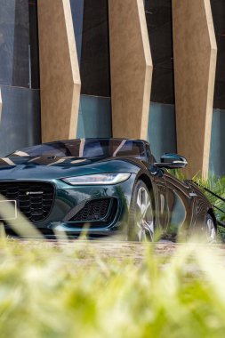 Yeşil Jaguar F tipi çimenlerin arasından ön manzara manzaralı lüks spor araba.