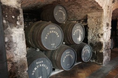 Bir yeraltı kantininde Avrupa Şarap Fıçıları.