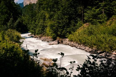 Beyaz Lutschine nehri ormandan geçerek Lauterbrunnen vadisine akar. Yazın Alp manzarası. Bernese Oberland, İsviçre