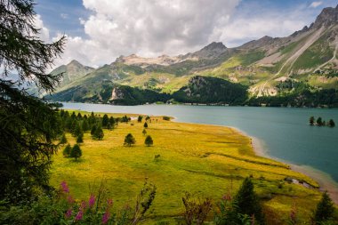 Yukarı Engadine, İsviçre 'deki Silsersee manzarası. Gölde yelkenli tekneleri, ormanlarla, çayırlar ve dramatik dağlık tepelerle çevrili..