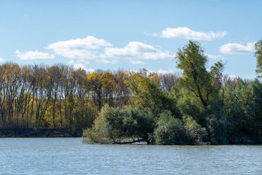 Yaprakları değişen ağaçlar mavi gökyüzünün altındaki nehir kıyısında. Su sonbaharın renklerini yansıtır, sakin bir ortamda doğal bir sahne yaratır..