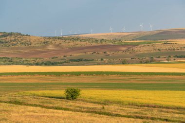 Farklı renklerdeki alanlar açık bir gökyüzünün altında arazi boyunca uzanıyor. Ufukta rüzgar türbinleri görülebilir. Doğa, yaz güneşinde güzelliğini gösterir..