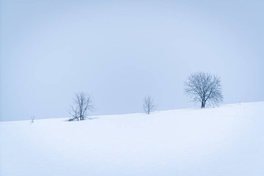 Gri bir gökyüzünün altında, beyaz, karlı bir zeminde üç çıplak ağaç duruyor. Sahne soğuk bir kış günü gösteriyor. Görüş mesafesi az ve yaşam belirtisi yok..