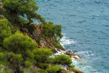 Yeşil ağaçlı kayalık bir sahil şeridi mavi suyun yanında yetişir. Dalgalar kayalara çarpar. Hava aydınlık ve gökyüzü açık. Sahne deniz kenarındaki doğal manzarayı gösteriyor..