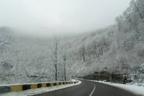 Kenarları beyaz ağaçlarla kaplı bir dağ yoluna kar yağıyor. Sis tepeleri kaplıyor, araç arazide ilerlerken havada bir soğukluk yaratıyor. Valea Oltului Iarna.