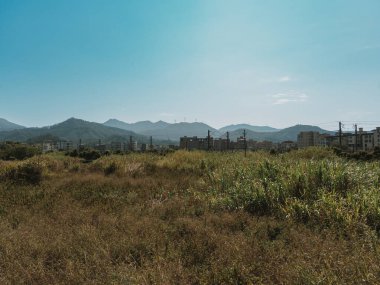 Yeni Zelanda şehrinin manzarası