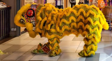 Pul ve kürkle süslenmiş parlak sarı aslan kostümlü kapalı Çin aslanı dans ritüeli. Aslanın önünde kızarmış tavuk ve sebzeler de dahil olmak üzere bir tören tabağı refahı sembolize eder..