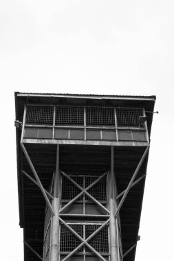 Yoğun Orman 'dan Gözlem Kulesi Uzak Panoramik Resimler Çekmek İçin En İyi Turistler İçin Ortaya Çıktı