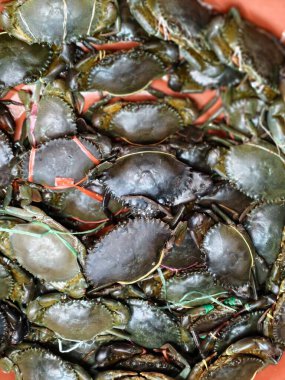 Bir market kutusunda sergilenen yoğun bir çamur yengeç kümesi (Scylla serrata). Her yengeç pençelerini sağlamlaştırmak için kırmızı, yeşil ya da sarı iple dikkatlice bağlanır ve Asya deniz ürünleri pazarlarında taze kabuklu deniz ürünleri satmanın geleneksel yöntemini vurgular.