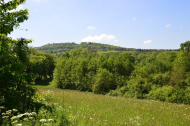 Eifel, Almanya 'da harika bir yeşil manzara