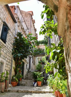 Hırvatistan 'ın Dubrovnik kentinde eski merdivenler