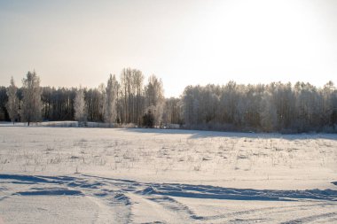 Kış manzarası, açık karla kaplı bir araziyi donmuş ağaçlara ve berrak mavi gökyüzünün altındaki sessiz bir ormana götürüyor. Buz dallara tutunur ve kıtır ışık soğuk bir kış gününün sakin ve el değmemiş güzelliğini vurgular..