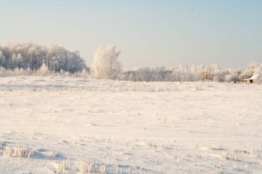 Kış manzarası, açık karla kaplı bir araziyi donmuş ağaçlara ve berrak mavi gökyüzünün altındaki sessiz bir ormana götürüyor. Buz dallara tutunur ve kıtır ışık soğuk bir kış gününün sakin ve el değmemiş güzelliğini vurgular..
