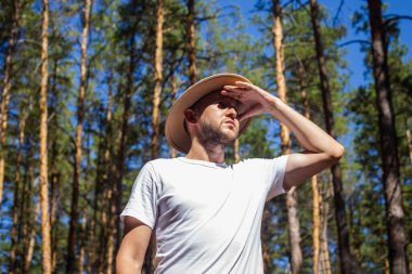Ormanda şapkalı bir adam. Dağlarda yürüyüş, orman....