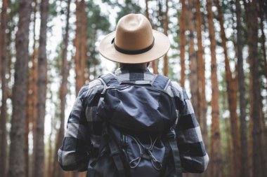 Ormanda yürürken dürbünlü bir turist. Dağlarda ya da ormanlarda yürüyüş.