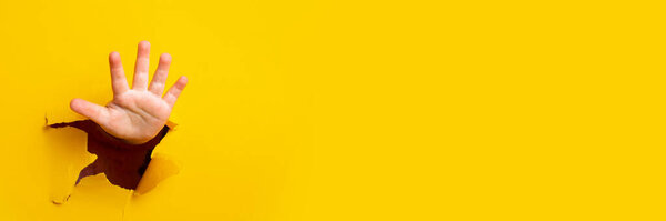 children's hand sticks out of a hole in a sheet of paper on a yellow background. Banner