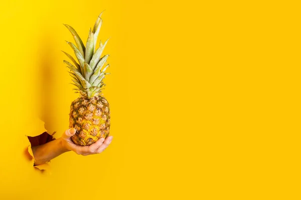 Woman Hand Holds Whole Pineapple Torn Yellow Background — Stock Photo, Image