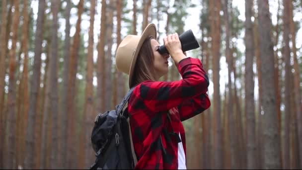 Femeia turistică se uită prin binocluri în pădure. Excursie concept, turism . — Videoclip de stoc