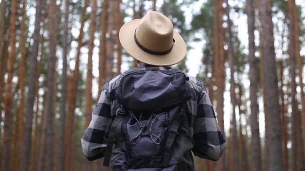 Hombre turista con una mochila mientras camina por el bosque o las montañas. Concepto de senderismo. — Vídeo de stock